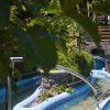 392622200piscina_kneipp_02