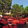 ischia_giardino_aranci_75