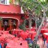 ischia_giardino_aranci_002