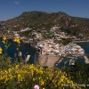 visitischia-38